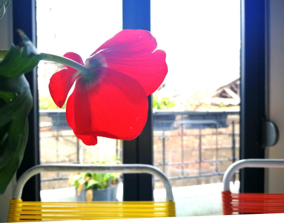 Semedaki, A Modern Appartment In The Centre Of History Athens Ngoại thất bức ảnh